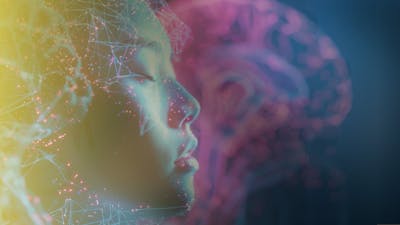 La magie de la néguentropie (Méditation)