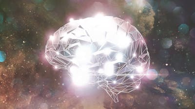 Von wissenschaftlicher Koryphäe zu einem intuitiven Genie
