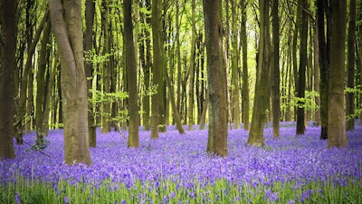 Interview with Dr. Christiane Northrup