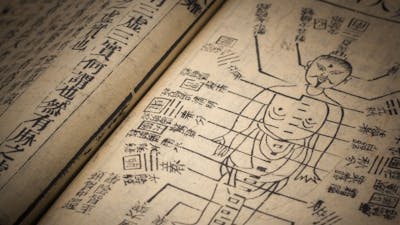 Electrifying Meridian Point Technology