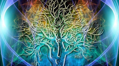 Judith Orloff on Energy Intelligence