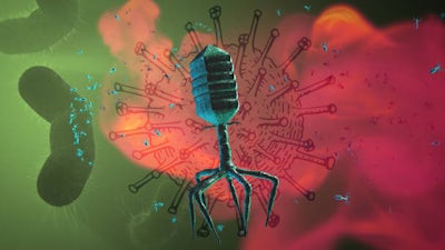 Phagen: Heilung per Virus!?