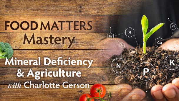 Mineral Deficiency & Agriculture with Charlotte Gerson