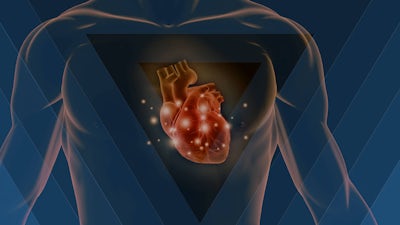 Armonía entre el corazón y el cerebro