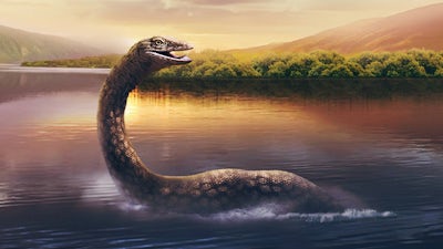 Genetic Anomalies and Cryptids