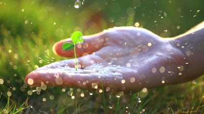 Bob Proctor: Master Class with Interview