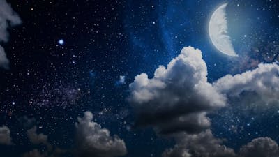 Dream University with Marcia Wieder