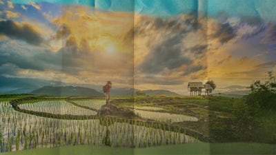 Chine II - Médecine des cent plantes