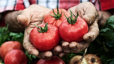 David Wolfe on the Life in your Food