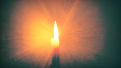 In a Flicker: cómo encontrar la curación en la luz, con Andrea Perron