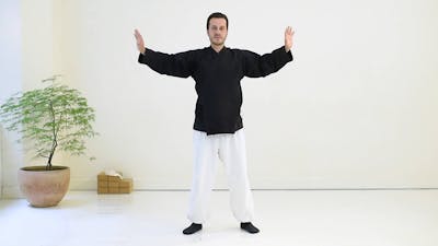 Le Qi Gong des 5 éléments - L'eau