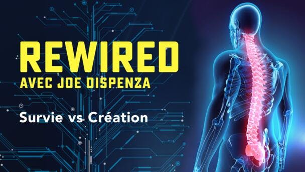 Survie vs Création