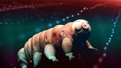 The Resilience of Life