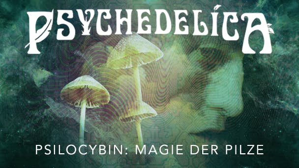 Psilocybin: Magie der Pilze