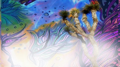 Time is Art: Synchronicity & the Collective Dream