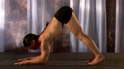 Session 1: Vinyasa and Inversions