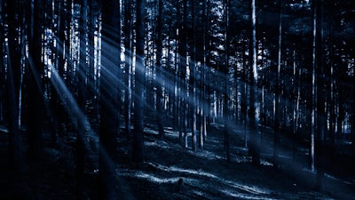 Guy Finley on Letting Go of Fear