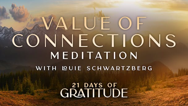 Value of Connections - Meditation 