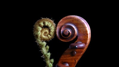 El poder sanador de la canción, con Barry Goldstein