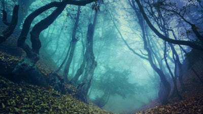 Besieged by Bigfoot with Christine Parker