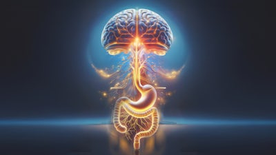 El intestino primer cerebro