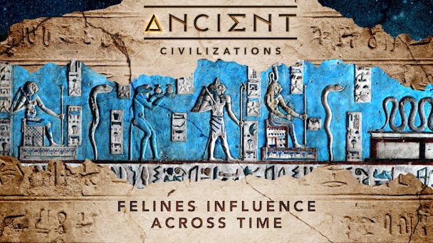 Felines' Influence Across Time