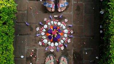 Cómo hacer una mándala con plantas
