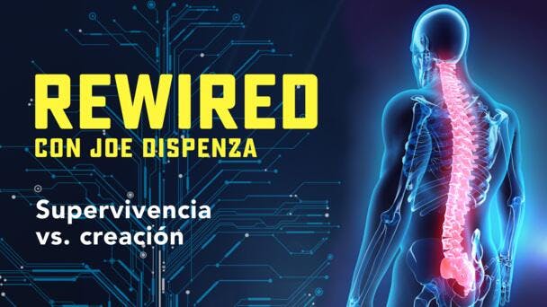 Viviendo desde la Supervivencia vs. la Creación