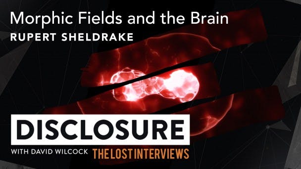 Morphic Fields and the Brain with Rupert Sheldrake
