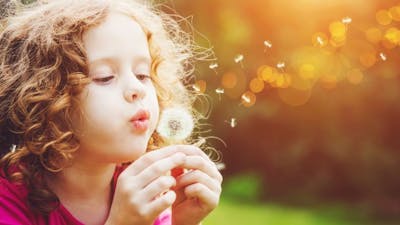 Shlomo Shoham on Peace for Future Generations