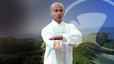 La forme 13 - ouverture