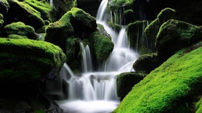 Mantra de abundancia