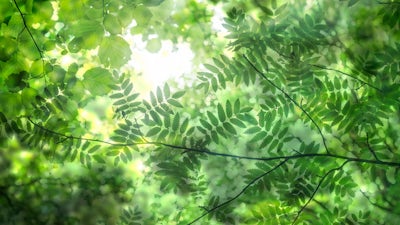 Howard Martin on Creating Global Coherence