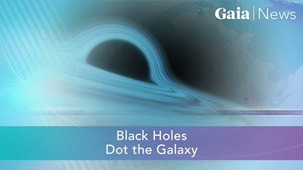 Black Holes Dot the Galaxy