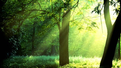 Reinventing Success (Patricia Varley)