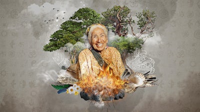 La naturaleza adentro nuestro