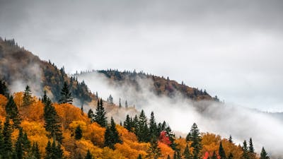 Seasons - Meditation 