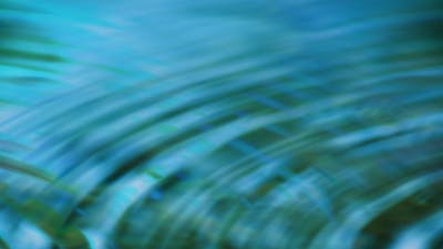 Anchored in Preparedness: Audio Meditation
