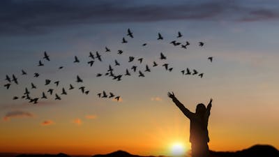 Heilungsenttäuschungen umwandeln