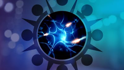 Quantum Science Panel: Neuroscience and Transformation