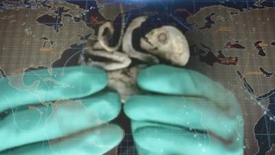 Seguimiento mundial de la criatura