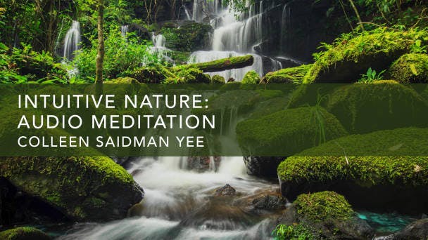 Intuitive Nature: Audio Meditation