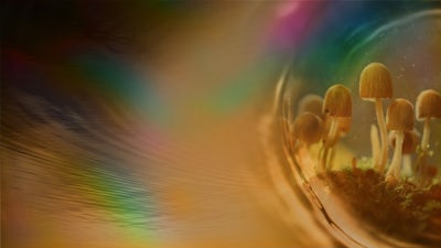 Deep Psilocybin Journey