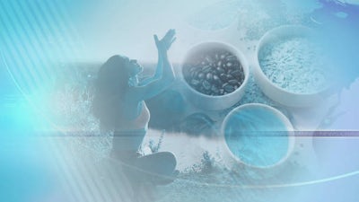 Now is the Time for an Ayurvedic Spring Cleanse