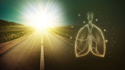 Learning How the Body Heals