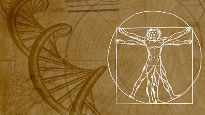 La Consciencia y el Cuerpo