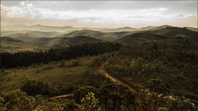 Communing with Spirits of Nature with Linda Shaylor Cooper