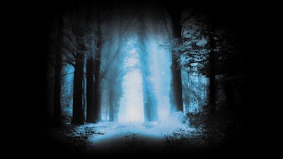 The Path: Beyond the Physical