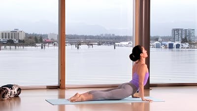 Power Vinyasa para la Fortaleza