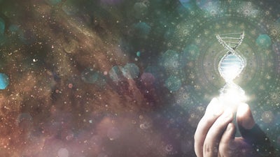 Approche métabolique du cancer 